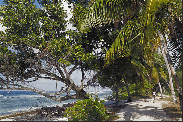 The bicycle is the only way to go around the island