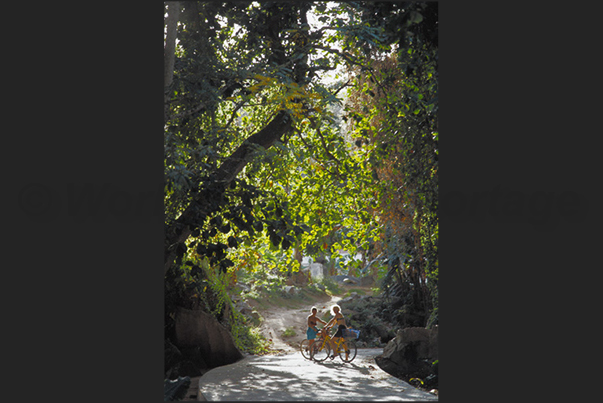 The bicycle is the only way to go around the island The bicycle is the only way to go around the island