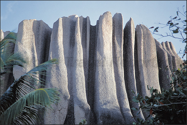The island is famous for its particular hidden formations in the forest The island is famous for its particular hidden formations in the forest