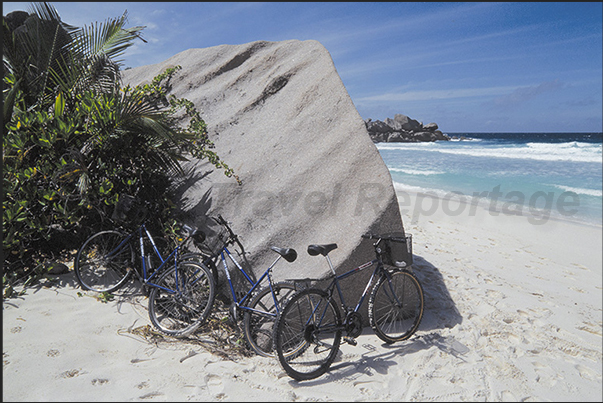 The bicycles used by tourists are always parked near the most beautiful beaches The bicycles used by tourists are always parked near the most beautiful beaches