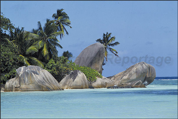 The rounded granite rocks are one of the characteristics that differentiates La Digue from the other islands of the archipelago The rounded granite rocks are one of the characteristics that differentiates La Digue from the other islands of the archipelago