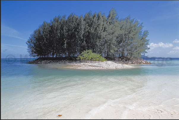 A small quiet oasis along the south west coast protected by coral reefs