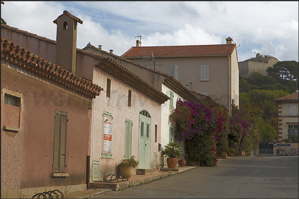 Porquerolles village the district of the botanical garden