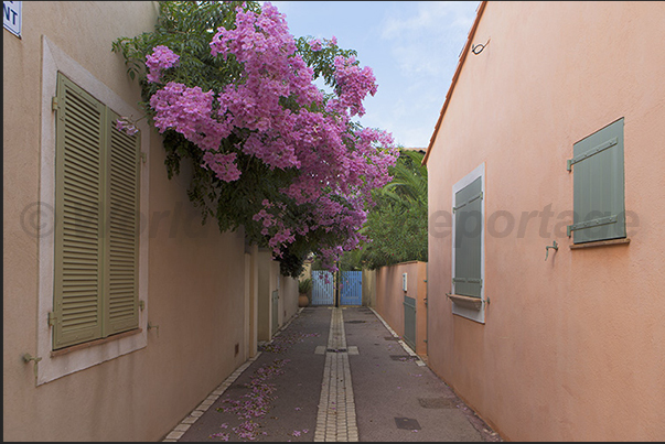 Porquerolles village