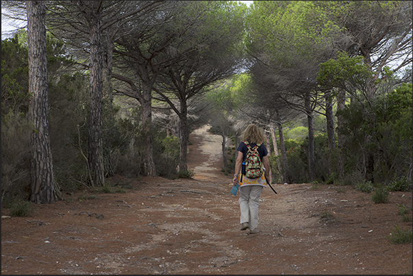 Path along the south coast