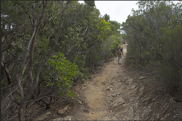 Path along the south coast