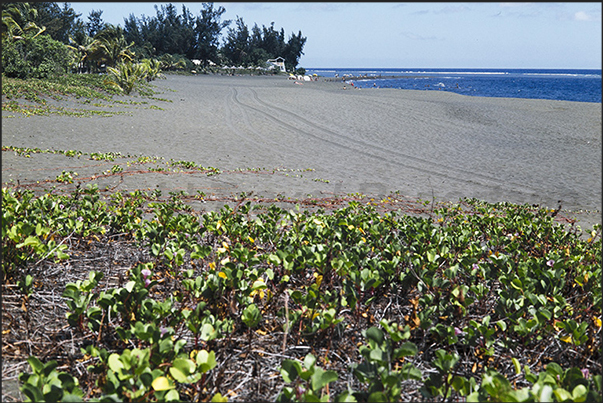 Black sand beach near Etang Salé, west coast