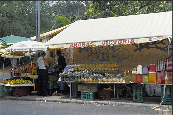 Pineapple stand along the coastal road