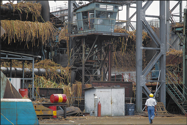 Processing of sugar cane Processing of sugar cane