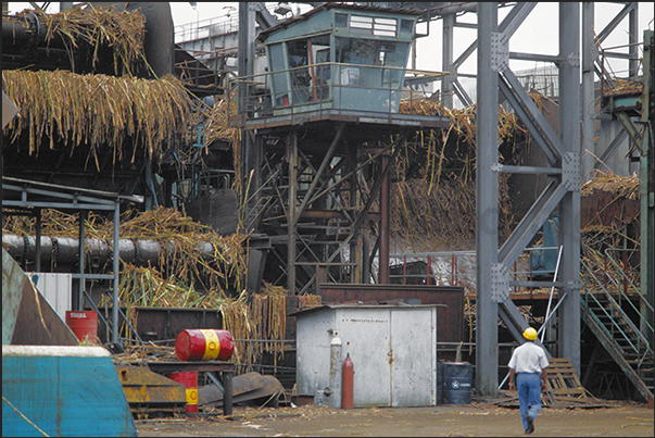 Processing of sugar cane