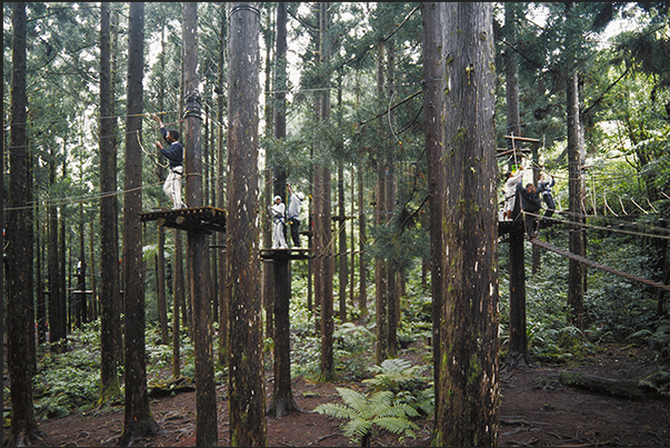 Acroplaine adventure park, forest tree path near the village of Bras des Calumets