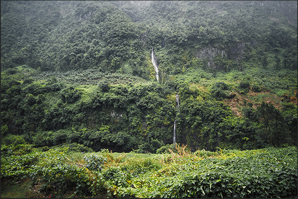 Cirque de Salazie valley du Mats, near the village of Grand Ilet central area of the island