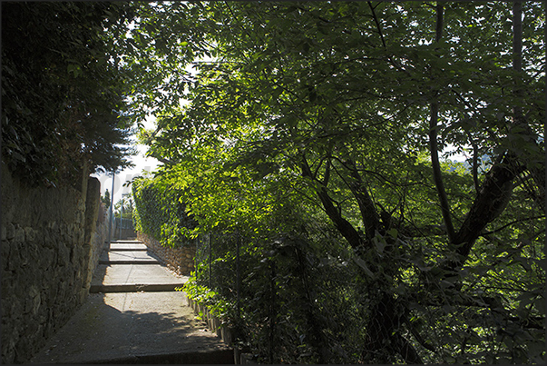 Chemin de Menton, the route that goes from the Menton stadium to the village of Roquebrune among olive trees and woods Chemin de Menton, the route that goes from the Menton stadium to the village of Roquebrune among olive trees and woods