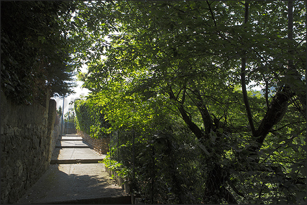 Chemin de Menton, the route that goes from the Menton stadium to the village of Roquebrune among olive trees and woods