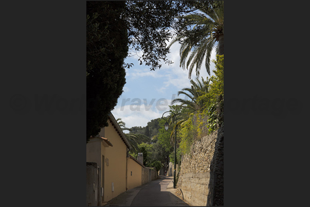 Chemin de Menton, the route that goes from the Menton stadium to the village of Roquebrune among olive trees and woods Chemin de Menton, the route that goes from the Menton stadium to the village of Roquebrune among olive trees and woods