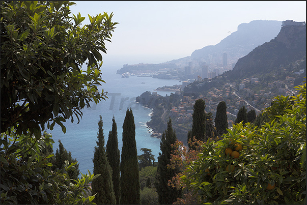 Panorama of the coast towards Principality of Monaco