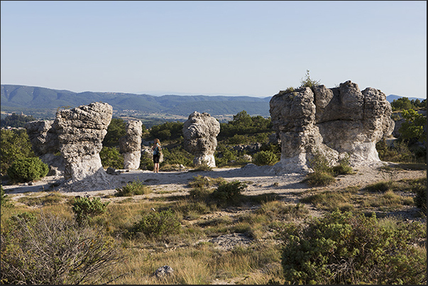 Les Mourres is an area that overlooks Durance river valley not far from the town of Forcalquier famous for lavender Les Mourres is an area that overlooks Durance river valley not far from the town of Forcalquier famous for lavender