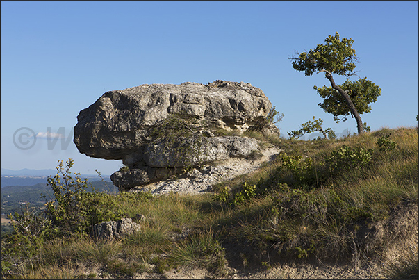 Les Mourres is an area, on the edge of the Luberon Regional Park, formed by hundreds of strange and particular rocky forms