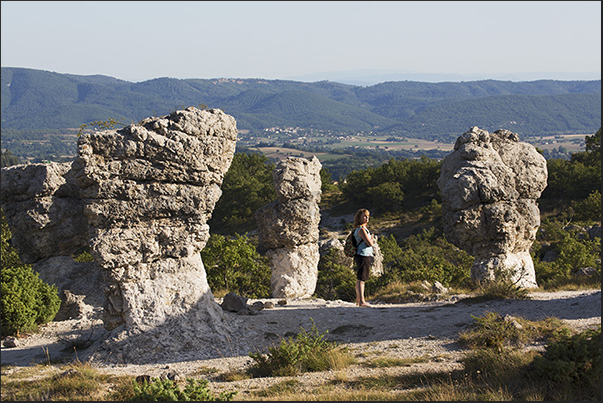 Les Mourres is an area that overlooks Durance river valley not far from the town of Forcalquier famous for lavender