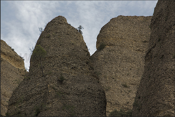 Dozens of spiers and columns formed by a rocky agglomerate characterize the landscape of Les Mees Dozens of spiers and columns formed by a rocky agglomerate characterize the landscape of Les Mees