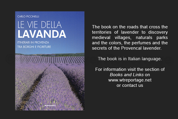 Roads and paths that cross the territory of Provencal lavender Roads and paths that cross the territory of Provencal lavender