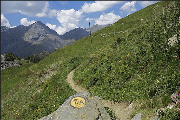 Stafal-Gabiet plant area. Start of the path that goes down towards the cableway departure