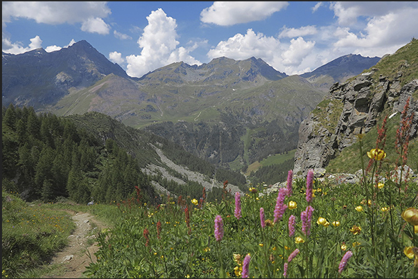 Stafal-Gabiet plant area. Start of the path that goes down towars the cableway departure