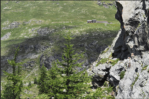 Summer alpine pasture