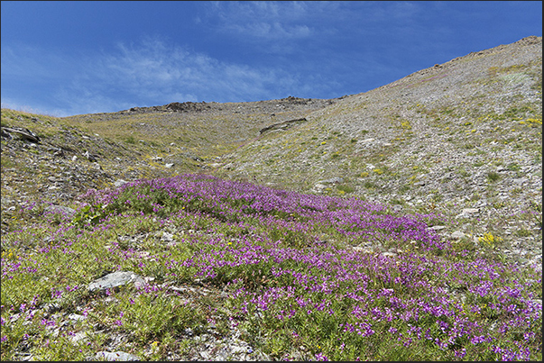 Start of the ascent to the Seguret mountain from the Pramand barracks