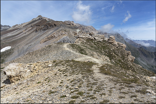 The path on the ridge between Mount Vallonetto and Mount Seguret The path on the ridge between Mount Vallonetto and Mount Seguret