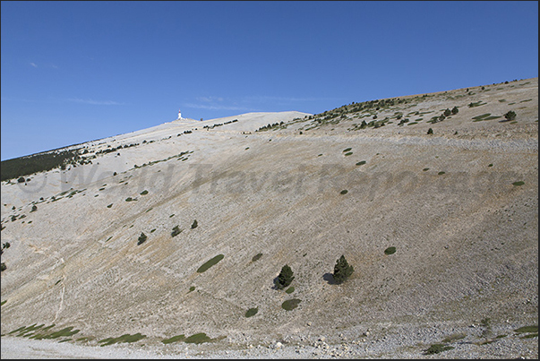 The south side of Mount Ventoux. The road that goes up through an huge sun-drenched stone