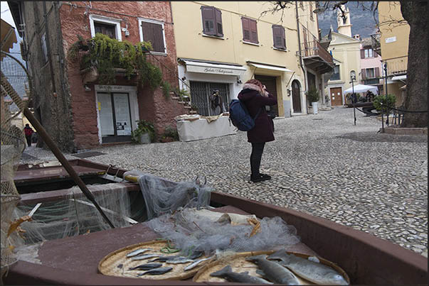 The historic center of the town of Malcesine on the eastern coast of the lake