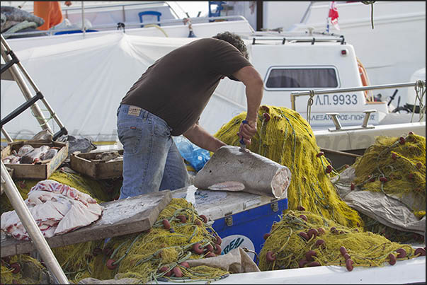Port of Korissia, arrival of fishermen and direct sale of fish caught Port of Korissia, arrival of fishermen and direct sale of fish caught