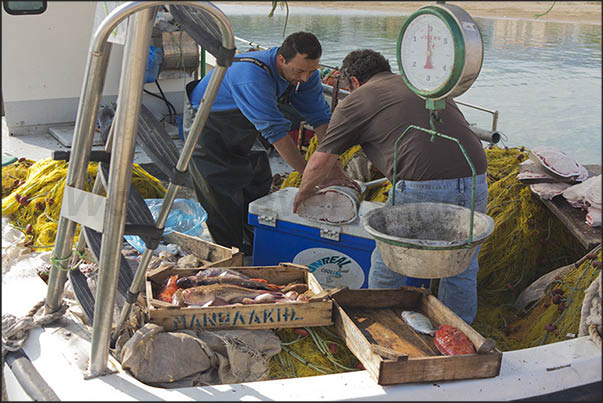 Port of Korissia, arrival of fishermen and direct sale of fish caught Port of Korissia, arrival of fishermen and direct sale of fish caught