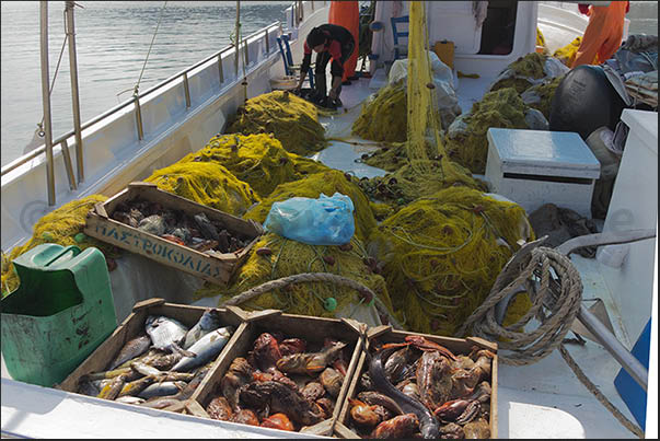 Port of Korissia, arrival of fishermen and direct sale of fish caught Port of Korissia, arrival of fishermen and direct sale of fish caught