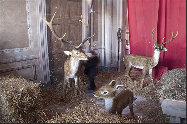 In the halls of the castle there are reproductions of the environment where Santa Claus lives, a real joy for children In the halls of the castle there are reproductions of the environment where Santa Claus lives, a real joy for children