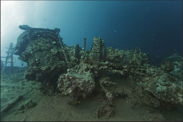 80 years have passed and the wreck has become one of the most important dives for divers 80 years have passed and the wreck has become one of the most important dives for divers