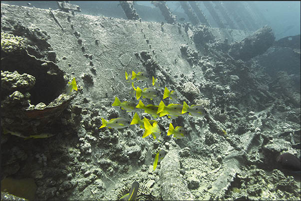 The wreck lies on the seabed with the walls on the right that skim the surface of the water The wreck lies on the seabed with the walls on the right that skim the surface of the water