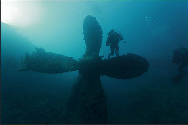 One of the two propellers of the wreck One of the two propellers of the wreck