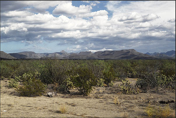 La Sierra, mountains that divide the Pacific coast from the Cortez Sea