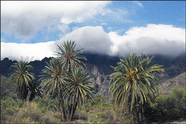 La Sierra, mountains that divide the Pacific coast from the Cortez Sea