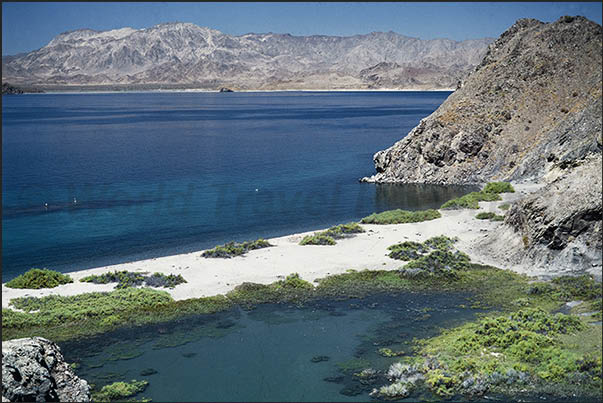 Cortez sea. Los Angeles bay, Isla Coronada