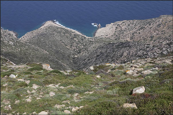 The north cliff near Aghia Triada at 300 meters above sea level on the north east tip The north cliff near Aghia Triada at 300 meters above sea level on the north east tip
