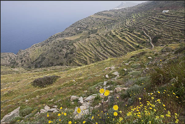 North cliff near Episkopi. The terraces once used for the cultivation of fruit, wheat and vegetable plants North cliff near Episkopi. The terraces once used for the cultivation of fruit, wheat and vegetable plants