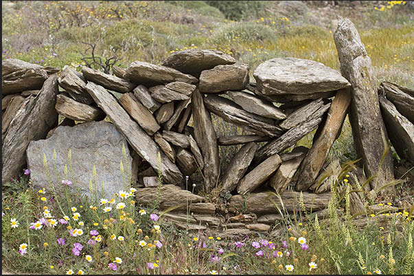 Detail of the walls that divide the fields on the mountains of the island