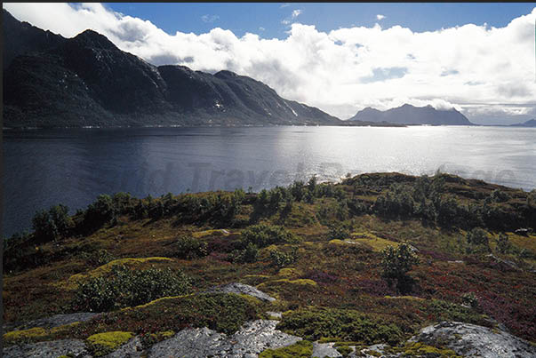Austvagoya coasts, Vesteralen archipelago. Border island between Vesteralen and Lofoten Austvagoya coasts, Vesteralen archipelago. Border island between Vesteralen and Lofoten