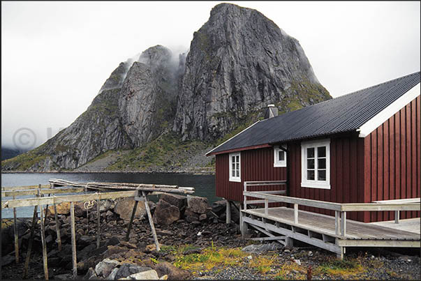 Moskenosoya Island (Lofoten), Rorbu, fishermen's houses used in summer time as holiday homes Moskenosoya Island (Lofoten), Rorbu, fishermen's houses used in summer time as holiday homes