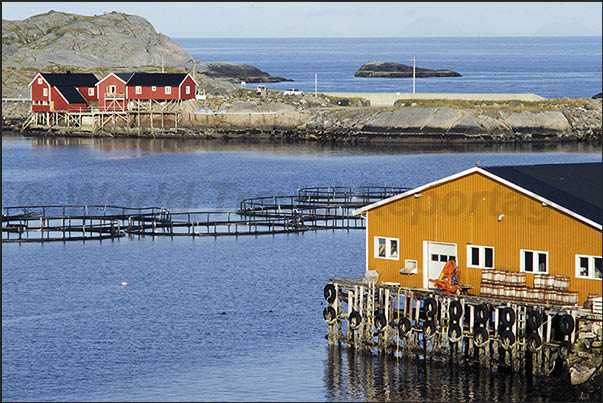 Moskenosoya island (Lofoten). there are numerous fishermen's houses along the coast, sometimes isolated and lonely