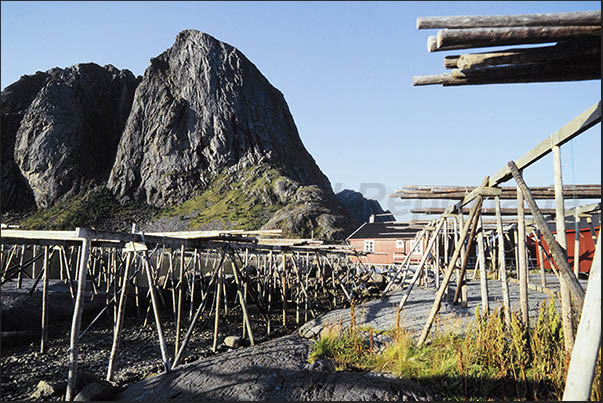 The pylons for hanging cod to dry in the sun are present everywhere in the archipelago The pylons for hanging cod to dry in the sun are present everywhere in the archipelago