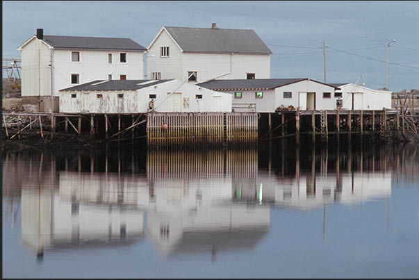 Rorbu, fishermen's houses with annexed warehouses for the processing and storage of cod Rorbu, fishermen's houses with annexed warehouses for the processing and storage of cod